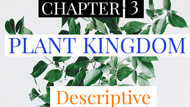 PLANT KINGDOM