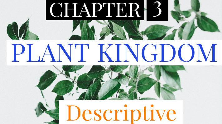 PLANT KINGDOM