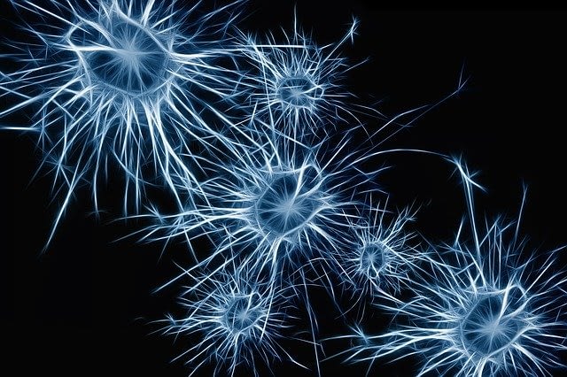 CHEMICAL MESSAGES FOR HOMEOSTASIS