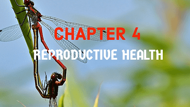 reproductive health