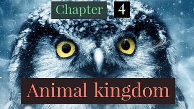 animal kingdom
